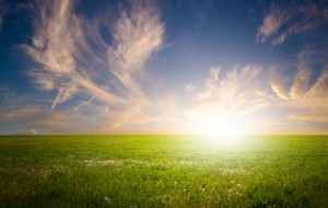 Counselling in Perth