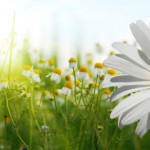 Counselling in Perth